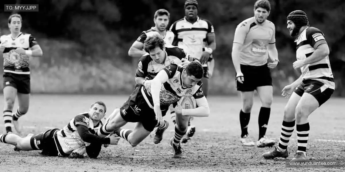 📱 边看边聊，弹幕刷屏，互动赢好礼！